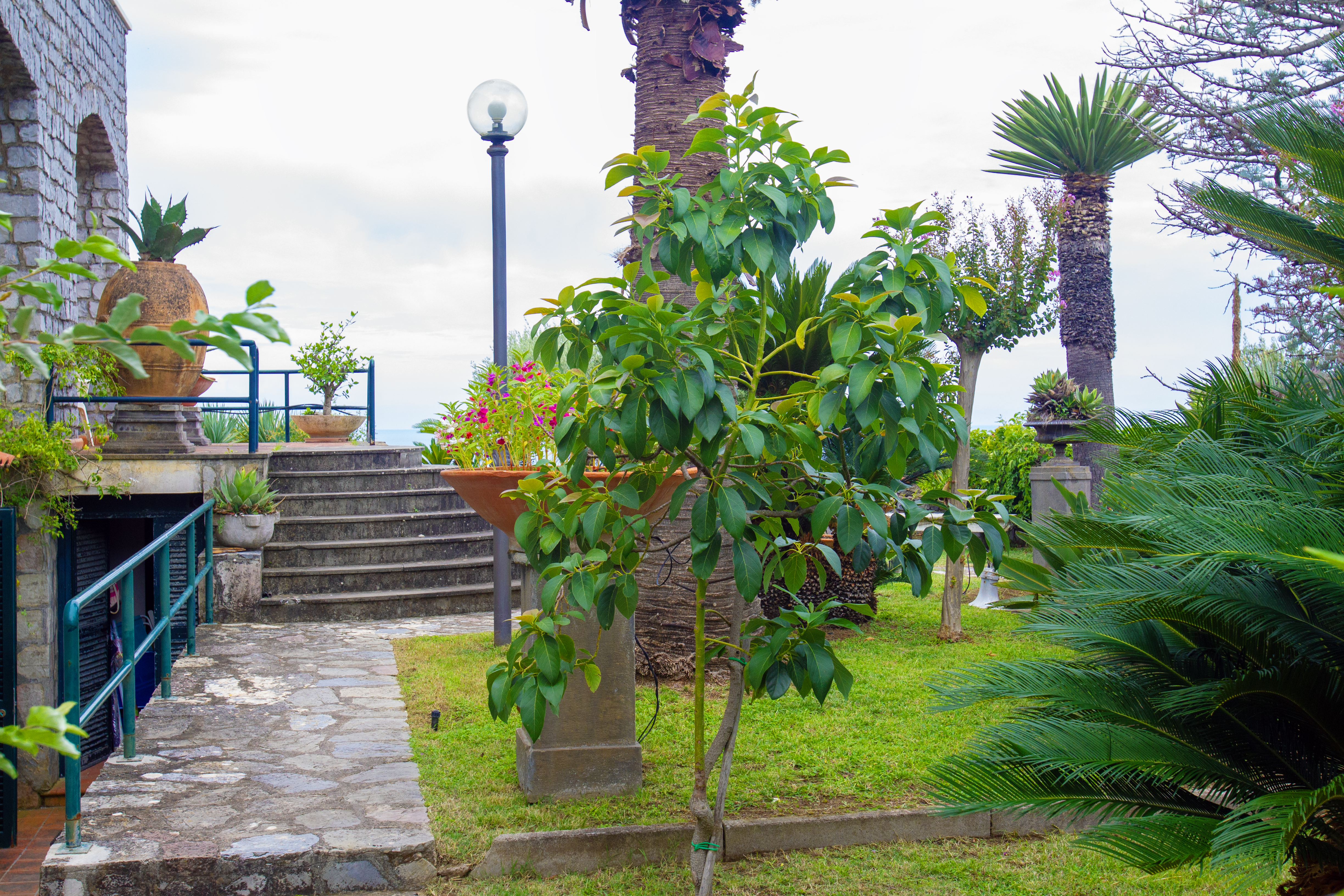 Giardino